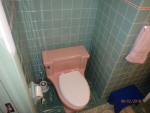 toilet-before